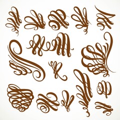 Calligraphic vintage rounded curls elements set isolated on a white background