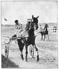 Harness racing. Illustration of the 19th century. White background. © Sergey Kohl