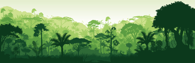 Vector horizontal tropical rainforest Jungle background - obrazy, fototapety, plakaty