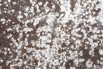 rusty painted metal texture. old shabby rusty metal background