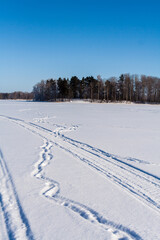 Snowy field with traces, trees at winter