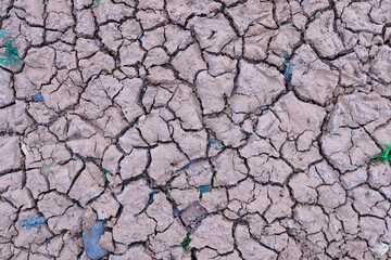 Cracked earth, drought dry riverbed background texture