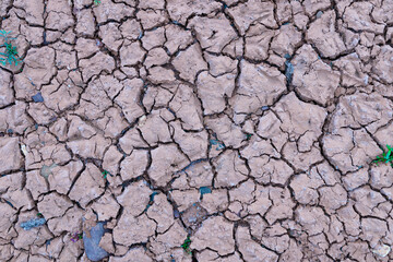 Cracked earth, drought dry riverbed background texture