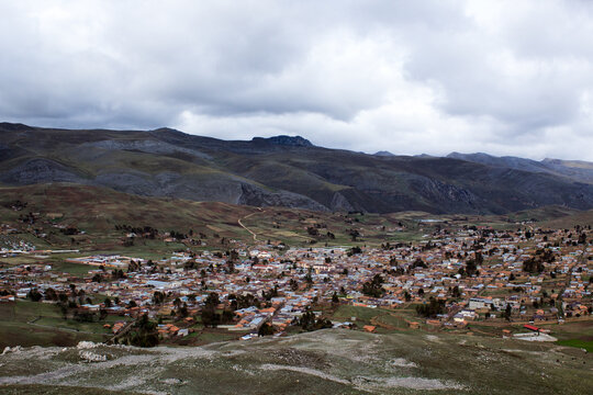 flock of sheep in the mountains