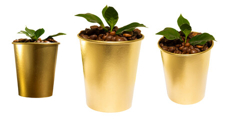 Golden coffee cups with coffee beans and leaves