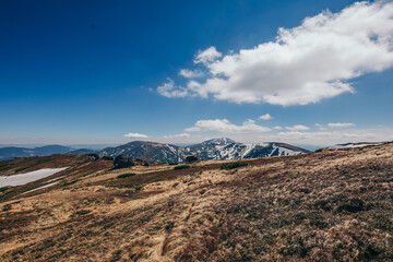 A close up of a dry grass field