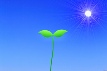 双葉と太陽
