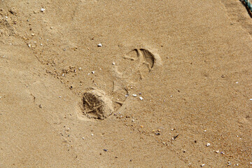 Sand