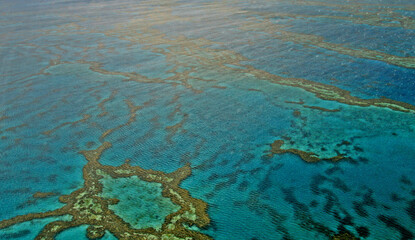 Patterns of the Great Barrier Reef