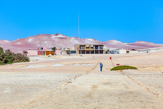  Paracas national reserve