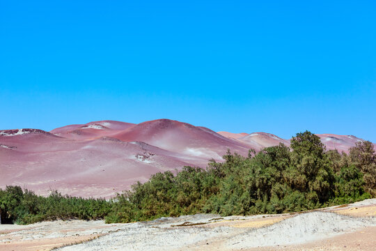  Paracas National Reserve