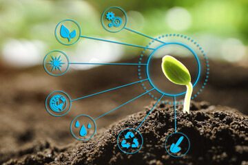 Modern technology in agriculture. Green seedling and icons