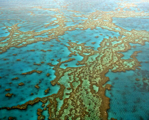 Patterns of the Great Barrier Reef 2