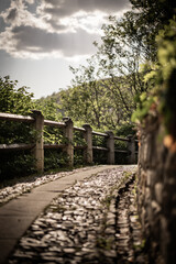 Fototapeta premium The Way 2