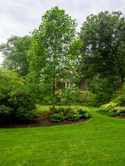 park and garden in an arboretum in late spring