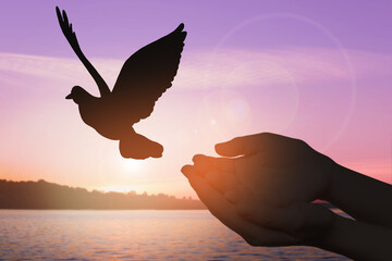 Woman releasing bird near river at sunset, closeup. Freedom concept