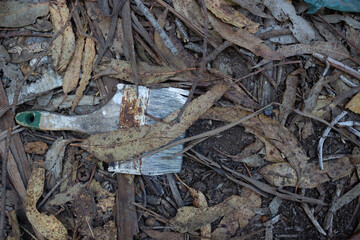 Basura: Una Brocha Usada Botada en el Bosque