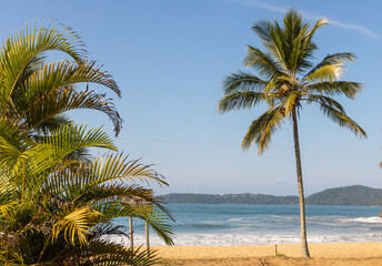 Fototapeta na wymiar Tropical Beach