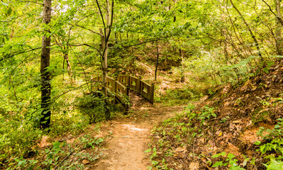 Wooden foot bridge in a woodland park