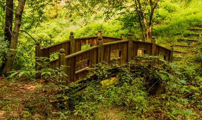 Wooden foot bridge in a woodland park