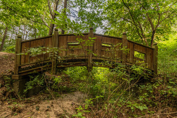 Wooden foot bridge in a woodland park