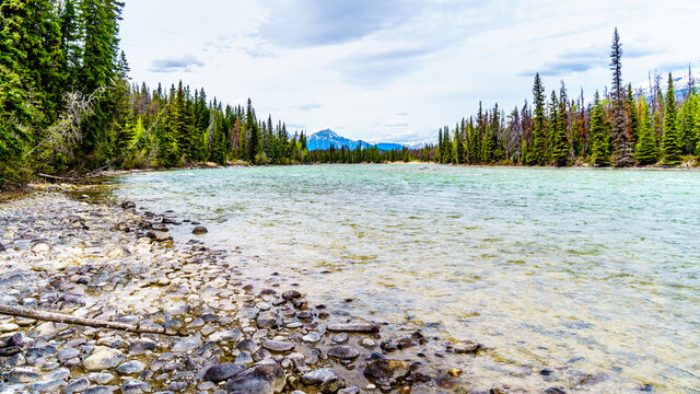 The Athabasca River At The Meeting Of The Rivers With The Whirlpool River In Jasper National Park, Alberta, Canada