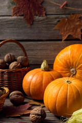 Pumpkins, corn and walnuts on an autumn table. Harvest.