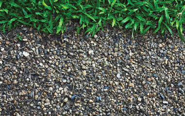 grass with pebble stone background. gardening and decorative ground