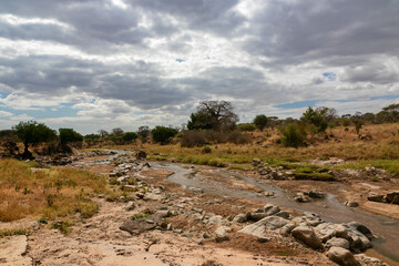 タンザニア・タランギーレ国立公園の平原を流れる川と、雲間から見える青空