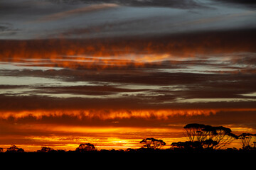 Dramatic sunsets on the Nullarbor plain, South Australia