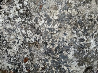 Rough cement texture abstract background