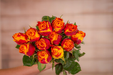 Women hand holding a bouquet of Silantoi roses variety, studio shot.