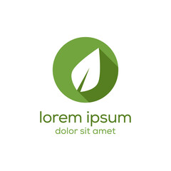 Leaf logo design template
