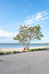 relaxing under the tree at the beach