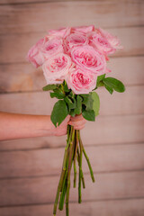 Women hand holding a bouquet of Pink Ohara roses variety, studio shot, pink flowers