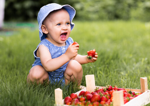 baby girl sits in a meadow and eats strawberries