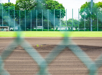 草の生えたマウンド　コロナ禍の影響