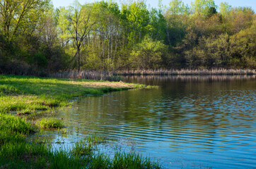 salem hills pond and woodlands in spring - Powered by Adobe