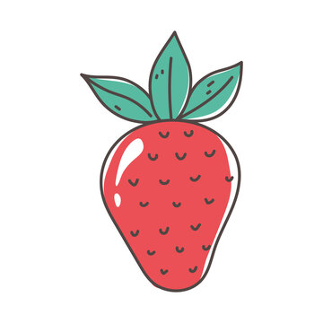 strawberry fruit organic fresh nutrition healthy food isolated icon design