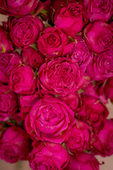 Obraz na płótnie Canvas Close up shot of Classic Sensation roses variety bouquet, studio shot.