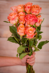 Women hand holding a bouquet of peach Shimmer roses variety, studio shot.