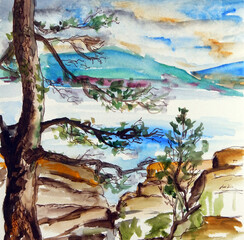 watercolor and liner travel sketch old gnarled pine against the backdrop of the norwegian fjord, seaside landscape
