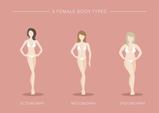 three female body types