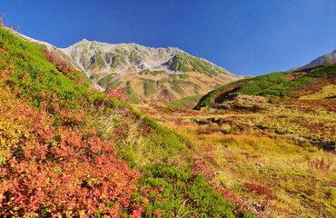 北アルプス 立山連峰　秋景色