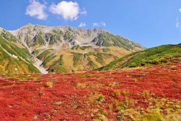 北アルプス 立山連峰　秋景色
