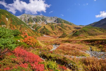 秋景色　立山連峰 雷鳥沢　