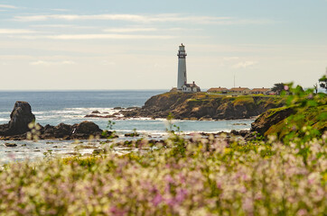 Fototapeta na wymiar Scenic view of Pigeon Point Lighthouse and Pacific Ocean, California