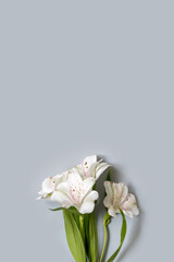 vertical photo branches of white flowers at the bottom of the frame for text and background