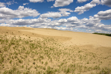 Fototapeta na wymiar Landscape of the Great Sandhills near the town of Leader, Saskatchewan, Canada