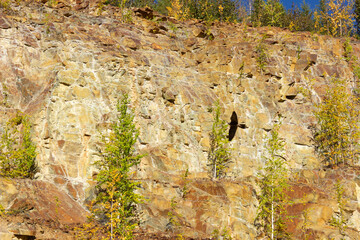アラスカの崖を舞う鷹